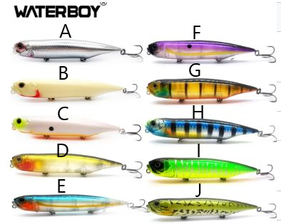 Waterboy Topwater Lure – Blue's Baits